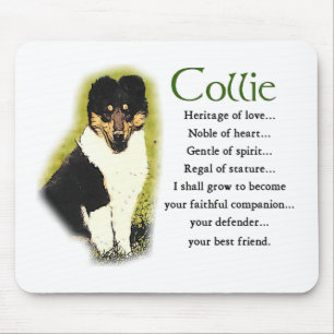 Tri Färg Rough Collie Gifts Musmatta