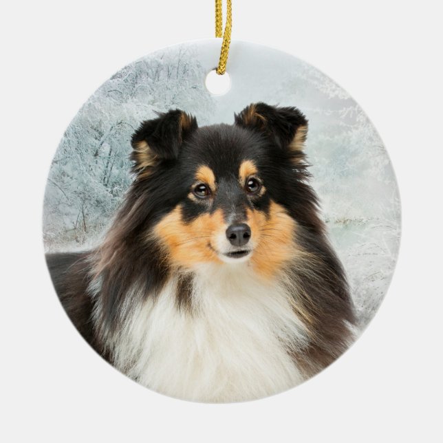 Tri-Färg Sheltie jul Ornament (Framsidan)