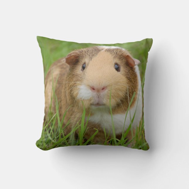 Tri Färg Smooth Hair Pet Guinea Gris Kudde (Framsida)