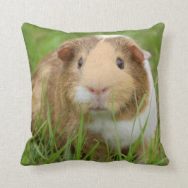 Tri Färg Smooth Hair Pet Guinea Gris Kudde