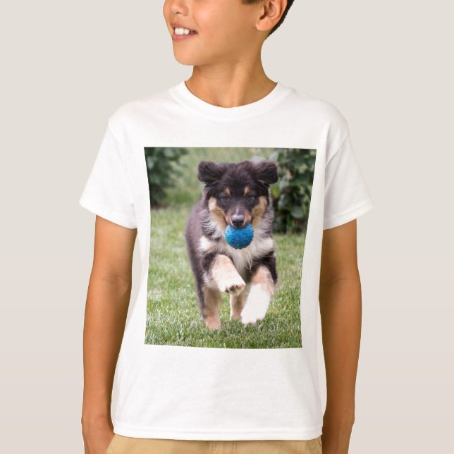 Tri Färgad Australian shepherd Valp T-shirt (Framsida)