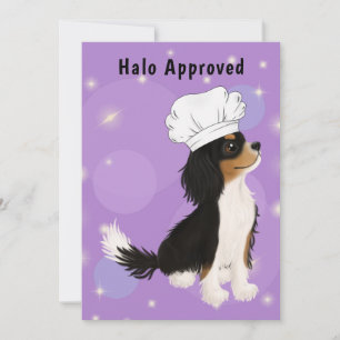 Tri Färgad Cavalier in Chef's Hat Tack Kort