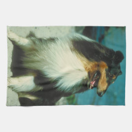 Tri-Färgad Colliehundkökshandduk Kökshandduk