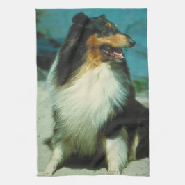 Tri-Färgad Colliehundkökshandduk Kökshandduk