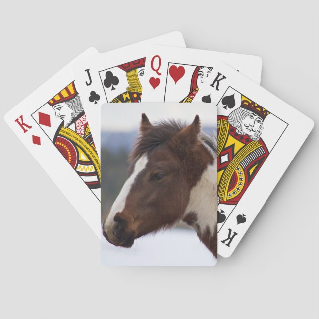 Tri-Färgad Horse Casinokort (Baksidan)