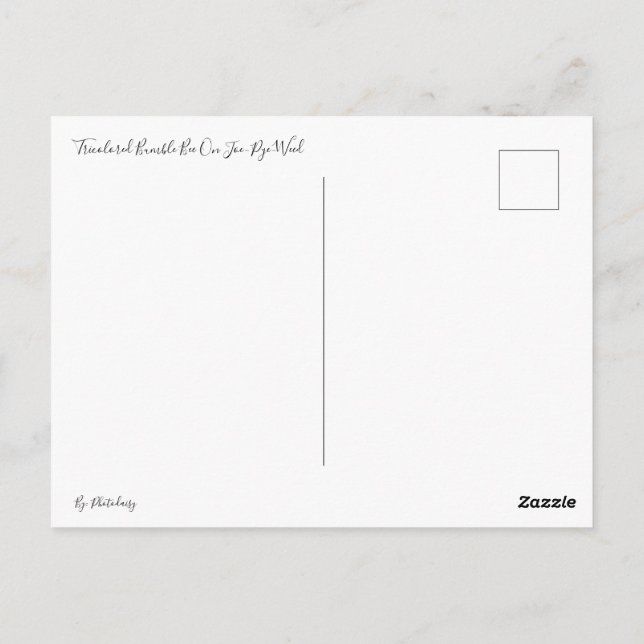 Tri-Färgad Humla om vykort Joe-Pye-Ogräs (Baksida)