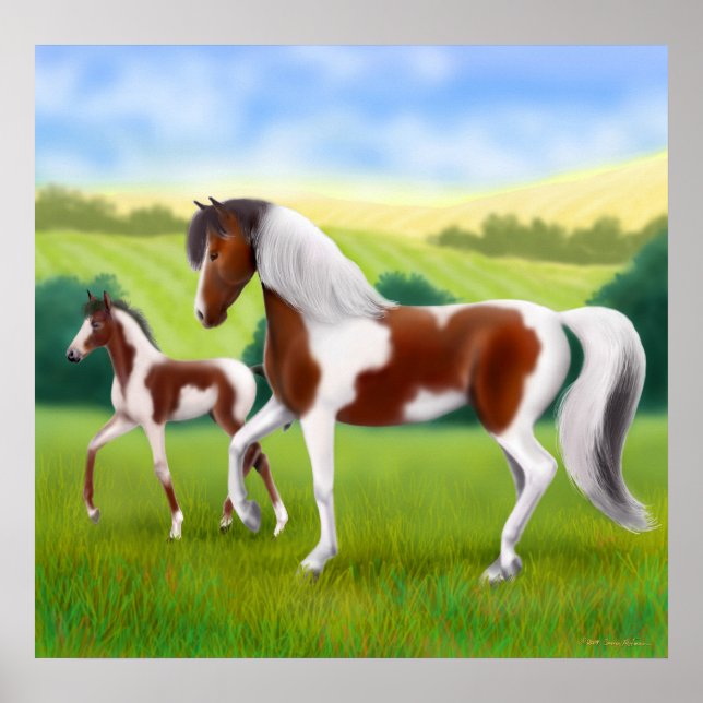 Tri Färgad Paint Horse and Foal Poster (Framsidan)