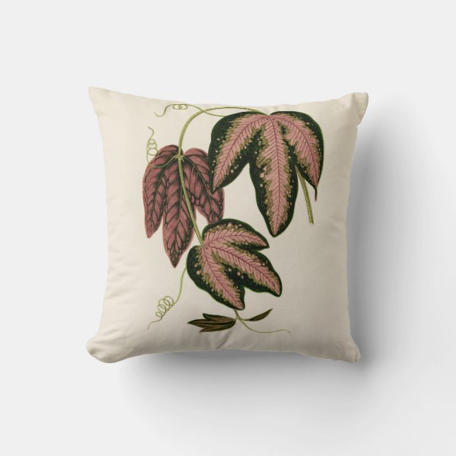 Tri-färgad Passion Vine (Passiflora Trifasciata) Kudde (Framsida)