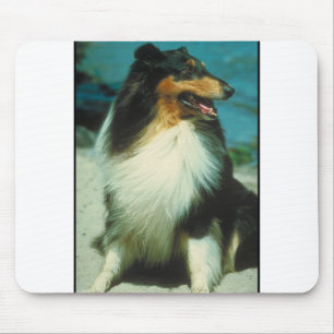 Tri-Färgat Colliebuselag Musmatta