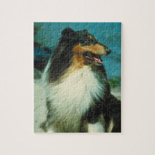 Tri-Färgat Colliehundpussel Pussel