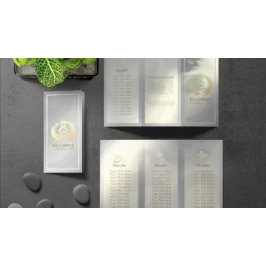 Tri-Fold Yoga Massage Brochures Meditation Posture