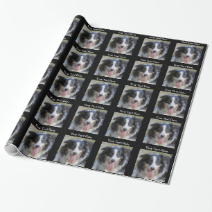Tri hund för färgadgränsCollie Presentpapper