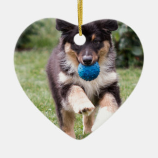 Tri kulör australian shepherdvalp julgransprydnad keramik