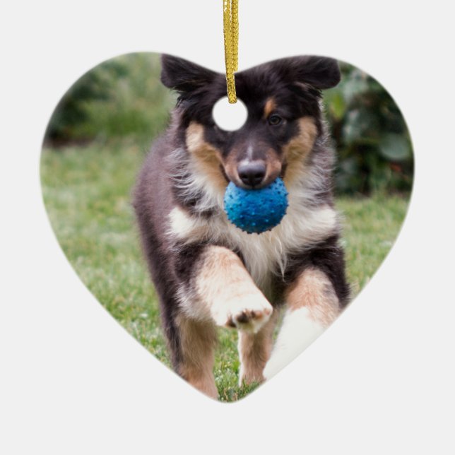 Tri kulör australian shepherdvalp julgransprydnad keramik (Framsidan)