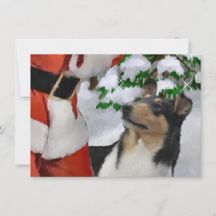 Tri Smooth Collie och julkort