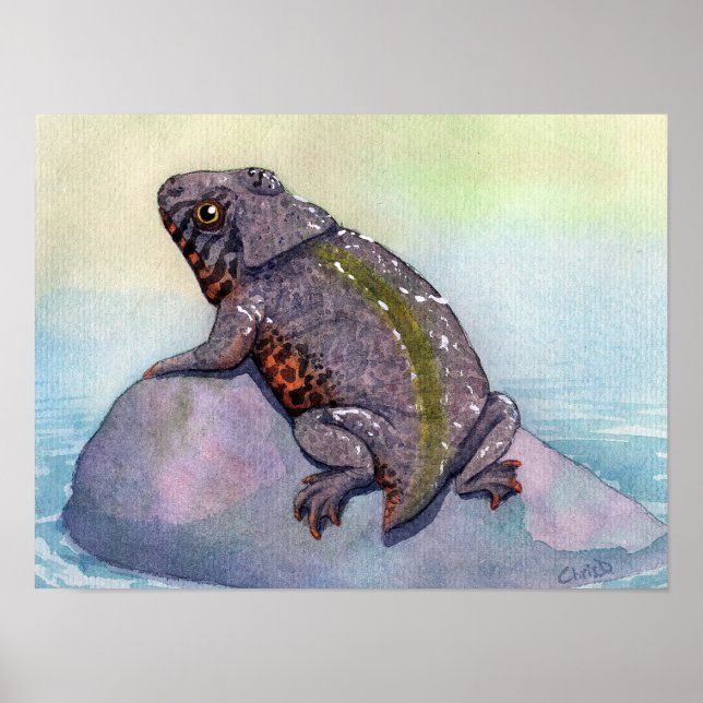 Triadobatrachus Skriv ut Poster (Framsidan)