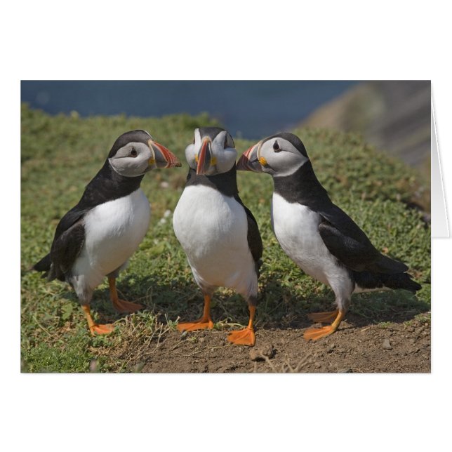 Triangel kärlek hälsningskort (Framsidan Horizontal)