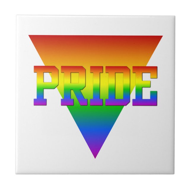 Triangelpanel för pride kakelplatta (Framsidan)