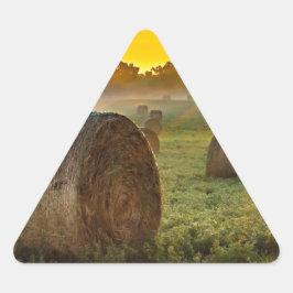 Triangelspärrar för Anpassningsbarna Triangelformat Klistermärke