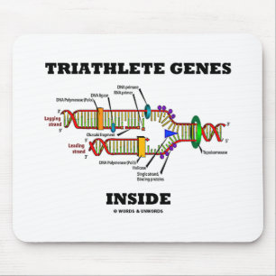 Triathlete Genes Inside DNA Replication Musmatta