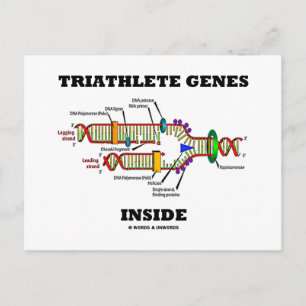 Triathlete Genes Inside (DNA-replikering) Vykort