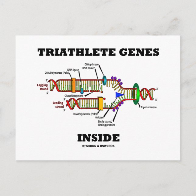 Triathlete Genes Inside (DNA-replikering) Vykort (Framsida)