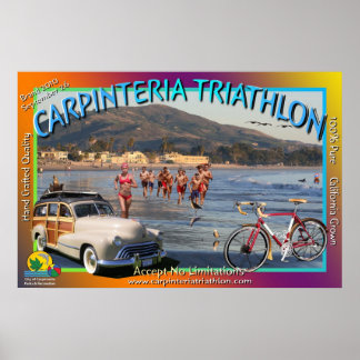 triathlon 2010 förenklad bild1 poster