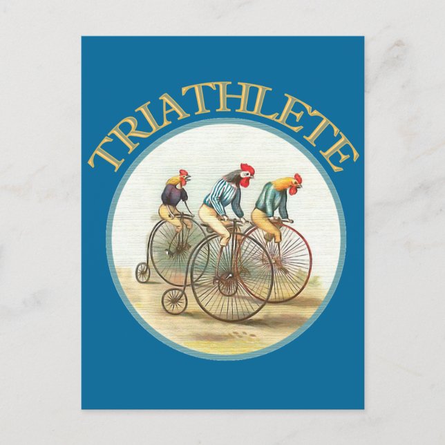 Triathlon of Chickens Vykort (Framsida)