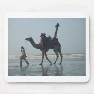Tribal Camel Ride: God morgon Tide Sands & Sea Musmatta
