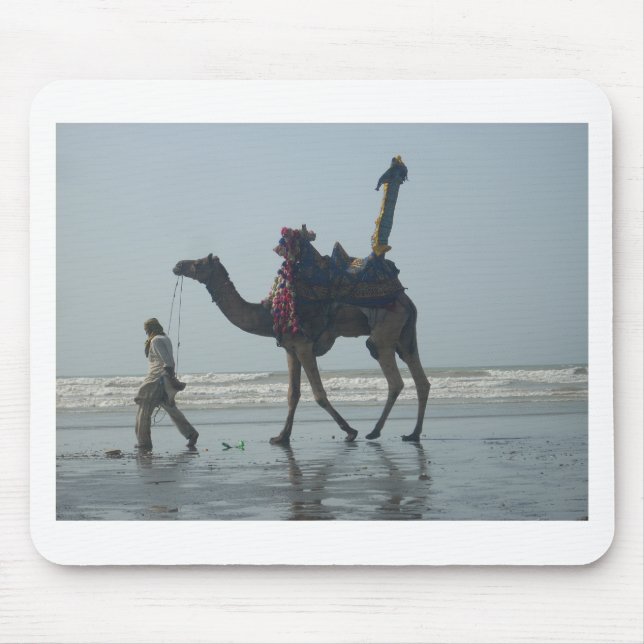 Tribal Camel Ride: God morgon Tide Sands & Sea Musmatta (Framsidan)