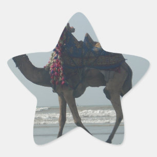 Tribal Camel Ride: God morgon Tide Sands & Sea Stjärnformat Klistermärke