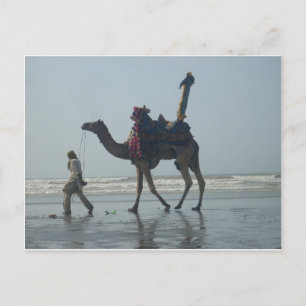 Tribal Camel Ride: God morgon Tide Sands & Sea Vykort