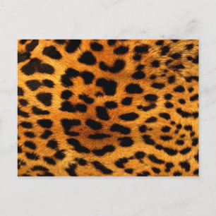 Tribal mode onista safari animal leopard print vykort