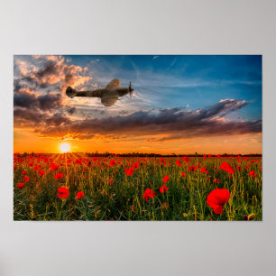 Tribute Spitfire Poster