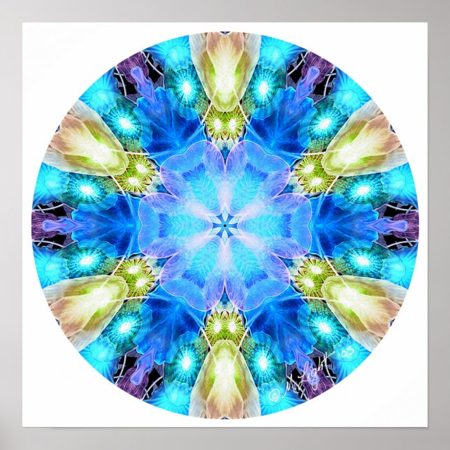 "Tribute to Chihuly" Mandala Poster/ skriver ut Poster (Framsidan)