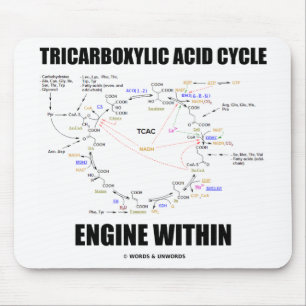 Tricarboxylic syra cyklar motorn inom Krebs cyklar Musmatta