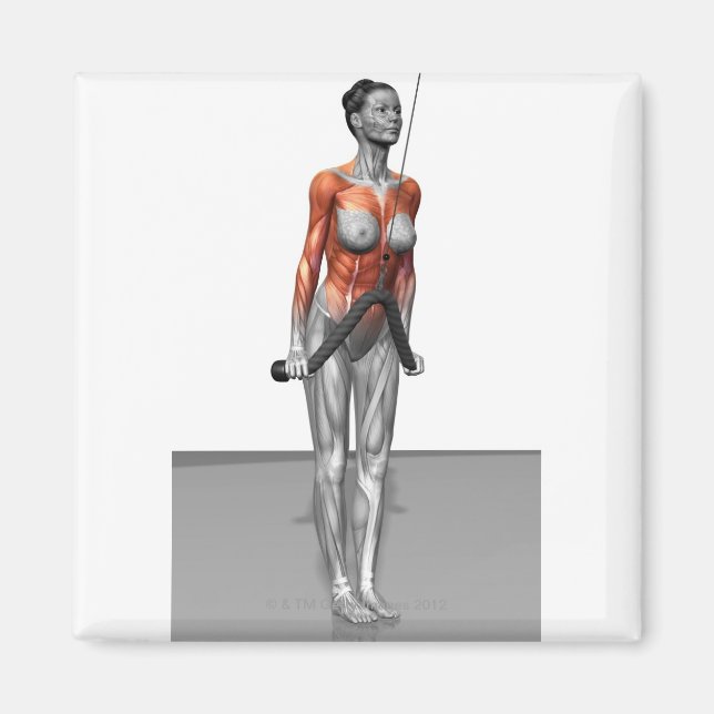 Triceps Push Downs Magnet (Framsidan)