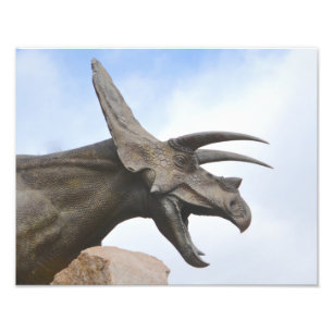 Triceratops Dinosauer Fototryck