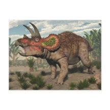 Triceratops dinosaur - 3D-rendering