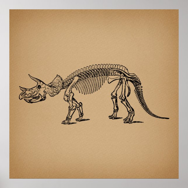 Triceratops Dinosaur Skeleton Prehistorisk Art Poster (Framsidan)
