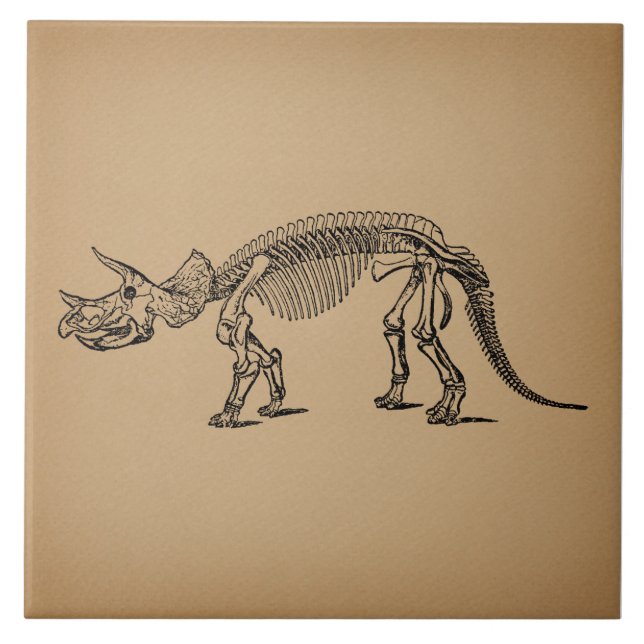 Triceratops Dinosaur Skeleton Prehistorisk konst Kakelplatta (Framsidan)