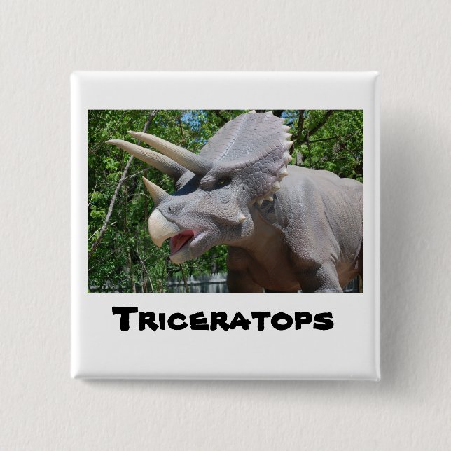 Triceratops Dinosaurs Knapp (Framsida)