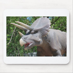 Triceratops/Dinosaurs Musmatta
