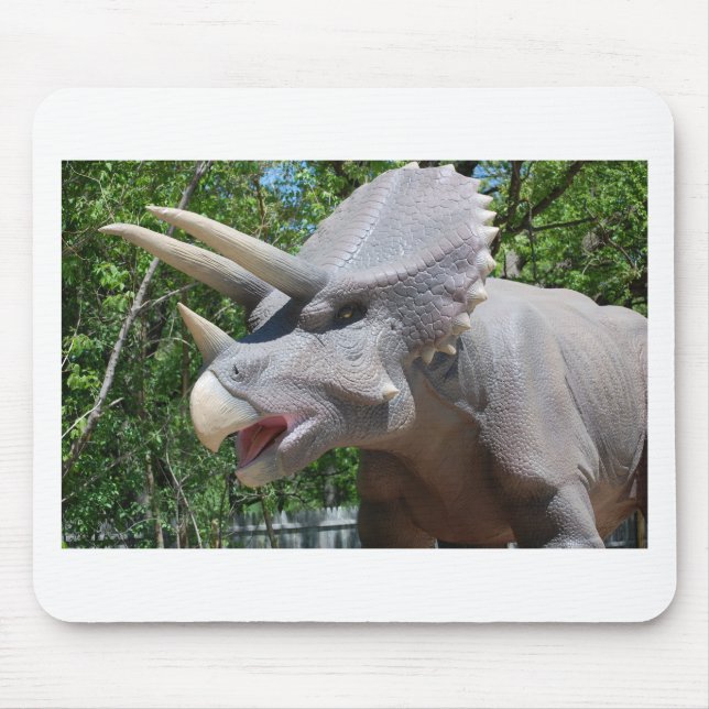 Triceratops/Dinosaurs Musmatta (Framsidan)