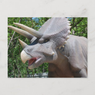 Triceratops/Dinosaurs Vykort