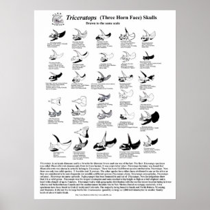 Triceratops döskallars poster