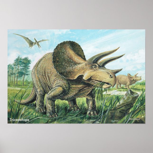 Triceratops Poster (Framsidan)