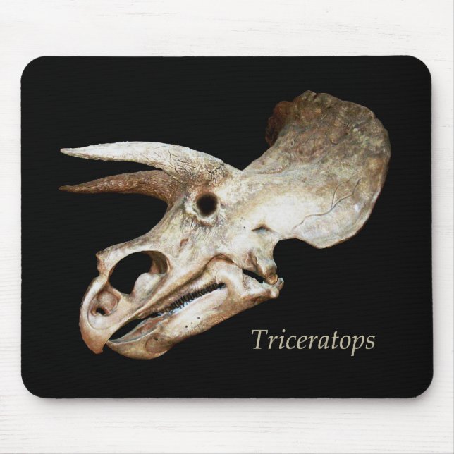 Triceratops Skalle Musmatta (Framsidan)