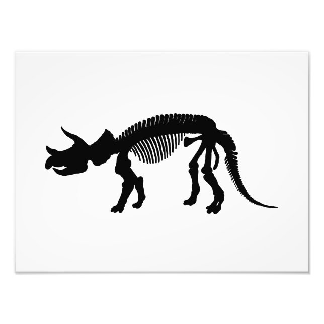Triceratops skelett fototryck (Framsidan)