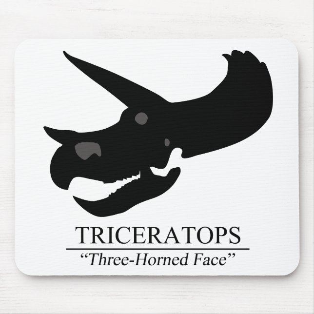 Triceratops Skull Musmatta (Framsidan)
